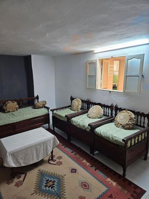 Hadhri Appartement Tuzer Dış mekan fotoğraf