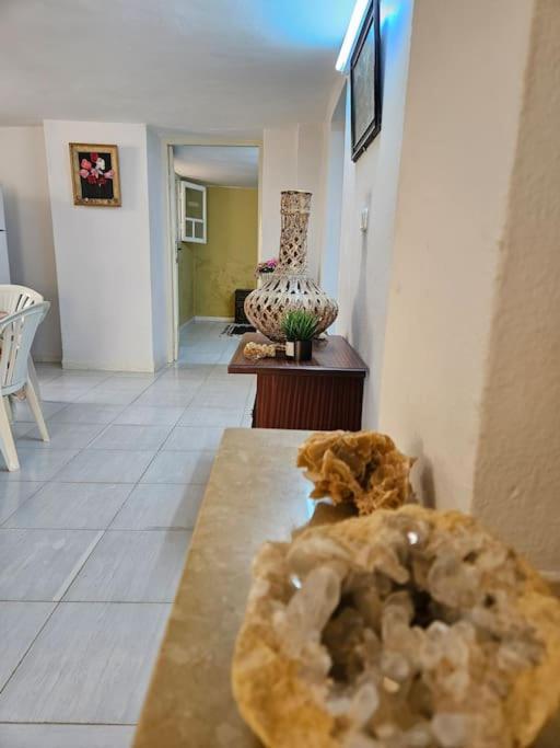 Hadhri Appartement Tuzer Dış mekan fotoğraf