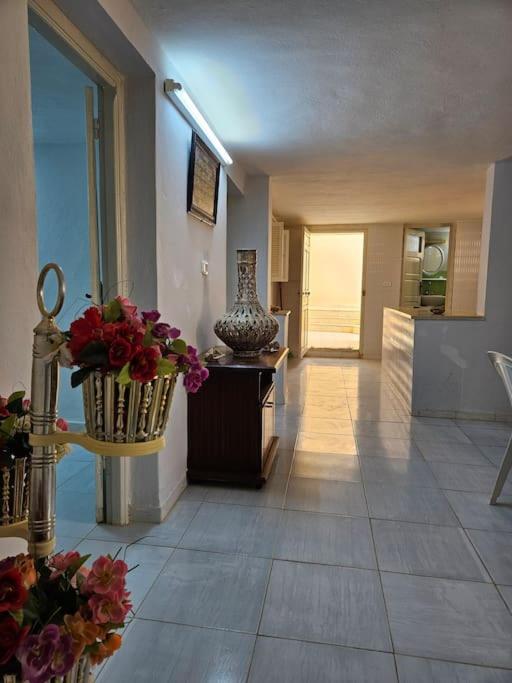 Hadhri Appartement Tuzer Dış mekan fotoğraf